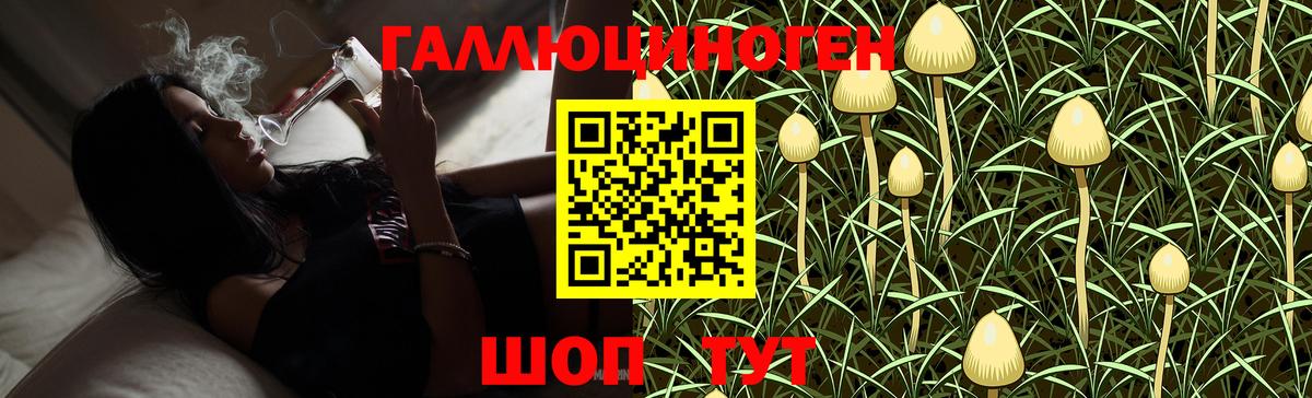 Галлюциногенные грибы GOLDEN TEACHER  Вход с VPN  Псилоцибиновые грибы ЛСД  Артёмовский 